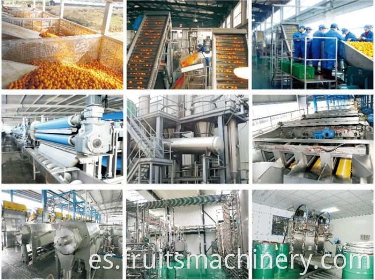Comercial Automático Fruta Orange Máquina Juicer / Profección de Jugo de Mango Industrial Extractor